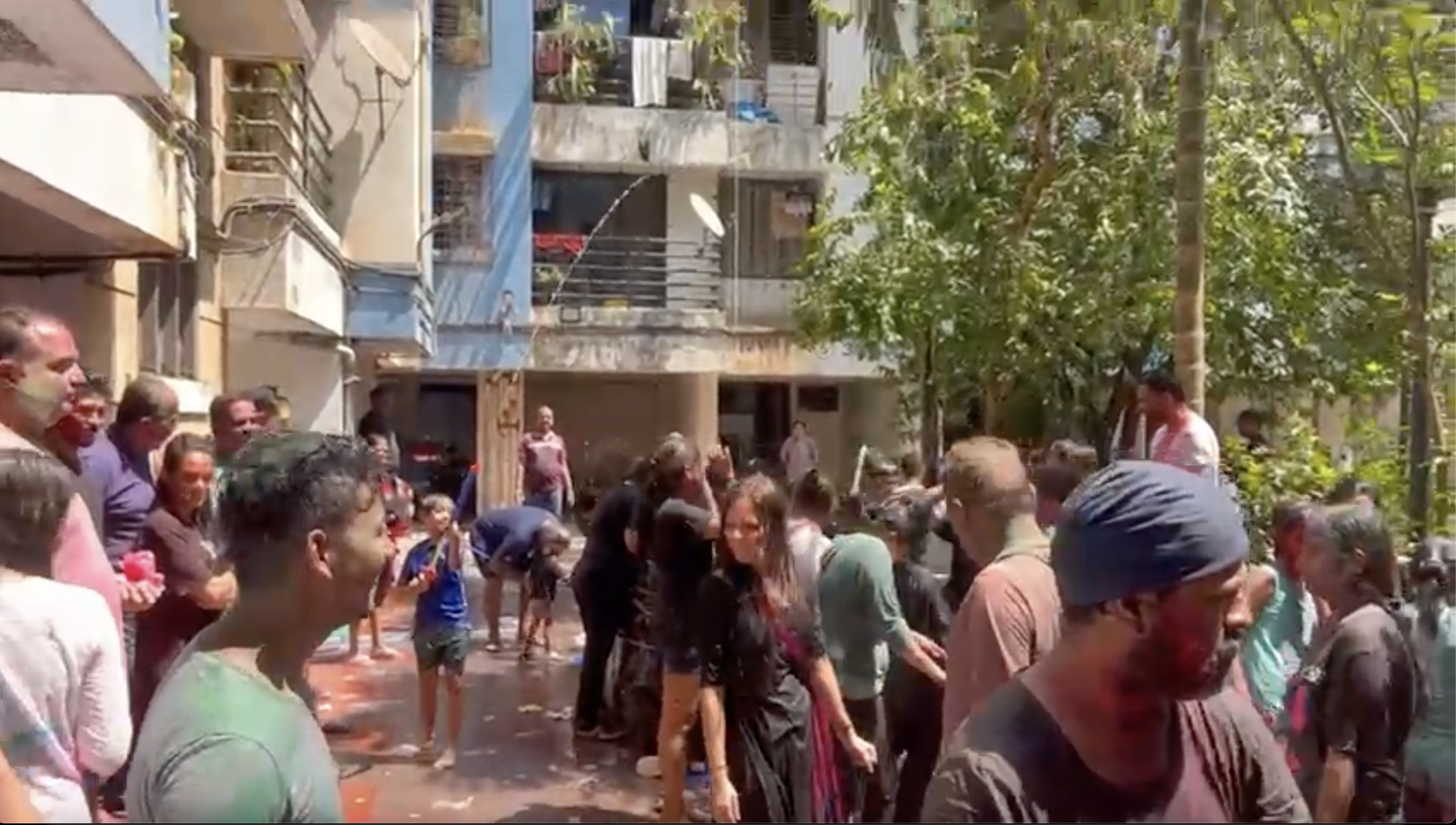 Holi 2025 celebration video highlights